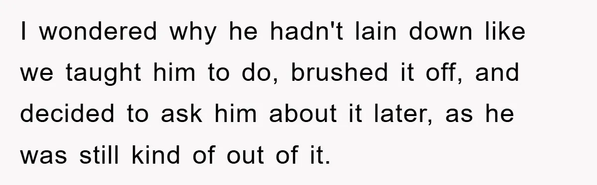 I wondered why he hadn't lain down like we taught him to do, brushed it off, and decided to ask him about it later, as he was still kind of...