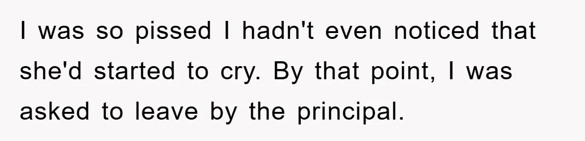 I was so pissed I hadn't even noticed that she'd started to cry. By that point, I was asked to leave by the principal.