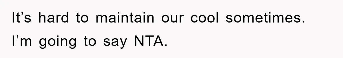 It’s hard to maintain our cool sometimes. I’m going to say NTA.