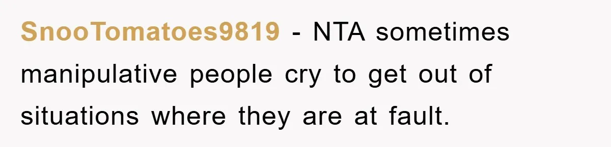 SnooTomatoes9819 − NTA sometimes manipulative people cry to get out of situations where they are at fault.