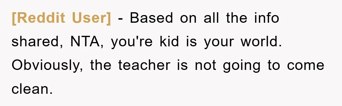 [Reddit User] − Based on all the info shared, NTA, you're kid is your world. Obviously, the teacher is not going to come clean.