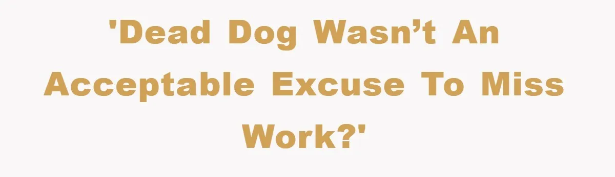 'Dead dog wasn’t an acceptable excuse to miss work?'