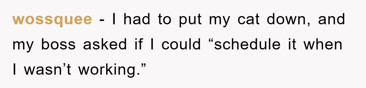 wossquee − I had to put my cat down, and my boss asked if I could “schedule it when I wasn’t working.”