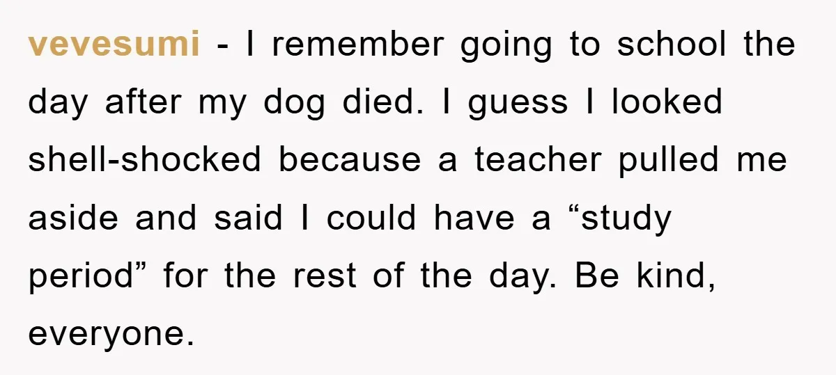 vevesumi − I remember going to school the day after my dog died. I guess I looked shell-shocked because a teacher pulled me aside and said I could have a...