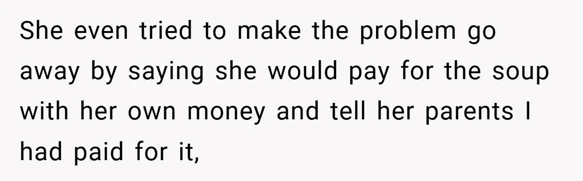 She even tried to make the problem go away by saying she would pay for the soup with her own money and tell her parents I had paid for it,