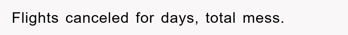 Flights canceled for days, total mess.