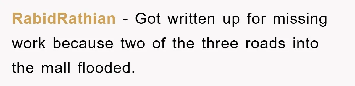 RabidRathian − Got written up for missing work because two of the three roads into the mall flooded.