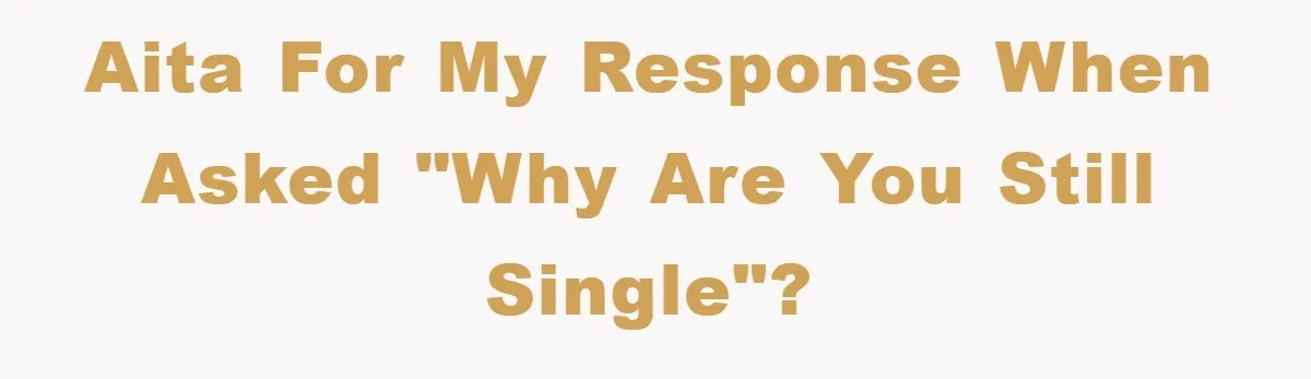 AITA for my response when asked "why are you still single"?