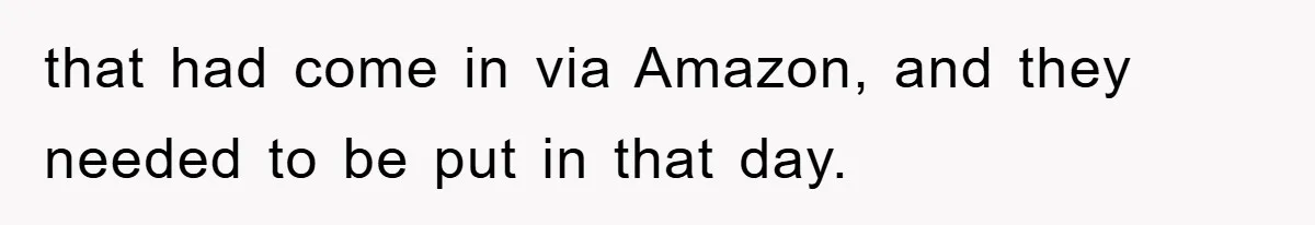 that had come in via Amazon, and they needed to be put in that day.