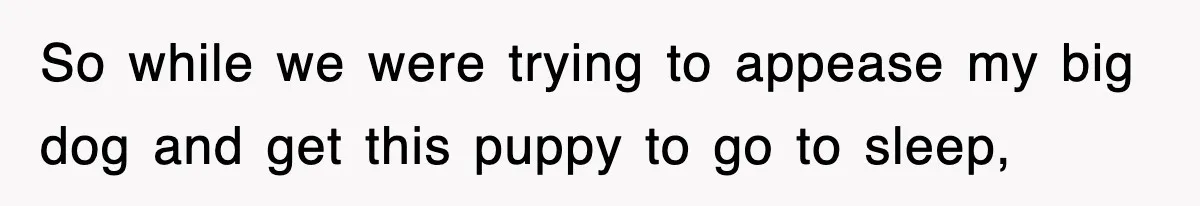 So while we were trying to appease my big dog and get this puppy to go to sleep,