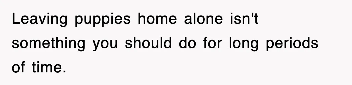 Leaving puppies home alone isn't something you should do for long periods of time.