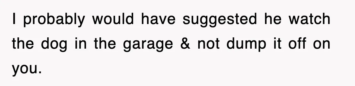 I probably would have suggested he watch the dog in the garage & not dump it off on you.