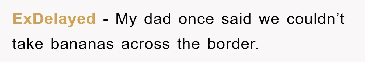 ExDelayed − My dad once said we couldn’t take bananas across the border.