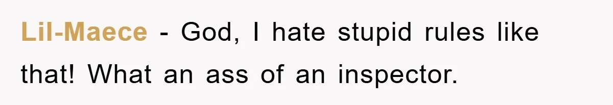 Boss Enforces Absurd Rule For Wheelchair Patient, Driver Claps Back By Ditching Job Temporarily Lil-Maece − God, I hate stupid rules like that! What an ass of an inspector.