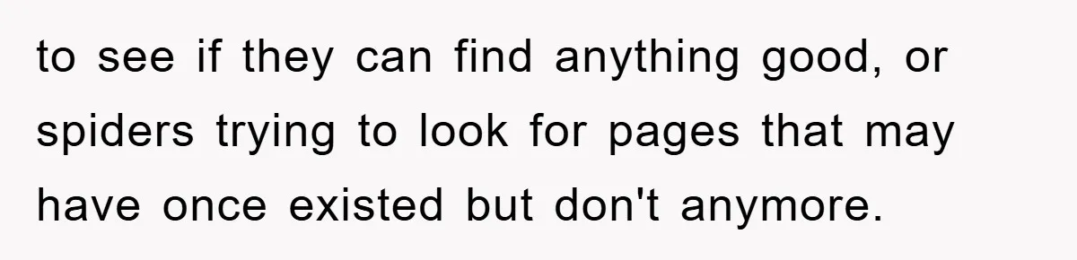 Manager Insists On 404 Alerts, Regrets It After 4,000 Emails to see if they can find anything good, or spiders trying to look for pages that may have once existed but don't anymore.