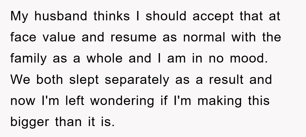 My husband thinks I should accept that at face value and resume as normal with the family as a whole and I am in no mood. We both slept separately...