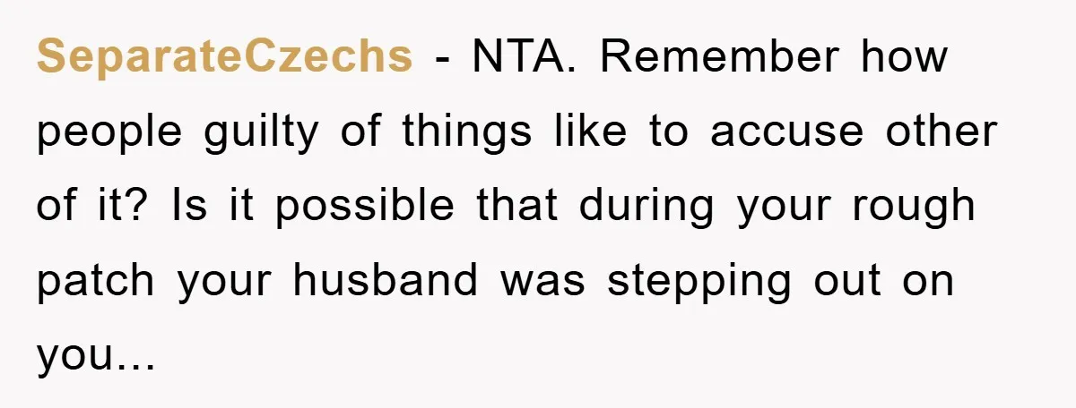 SeparateCzechs - NTA. Remember how people guilty of things like to accuse other of it? Is it possible that during your rough patch your husband was stepping out on you...