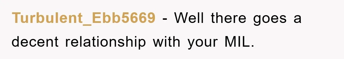 Turbulent_Ebb5669 - Well there goes a decent relationship with your MIL.