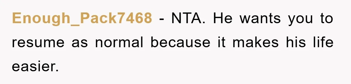 Enough_Pack7468 - NTA. He wants you to resume as normal because it makes his life easier.