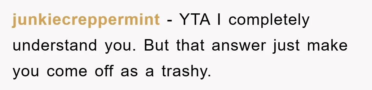 junkiecreppermint - YTA I completely understand you. But that answer just make you come off as a trashy.