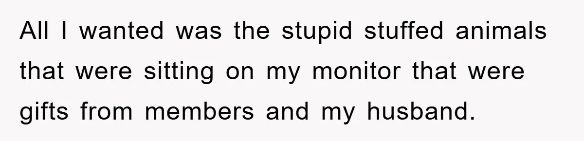 All I wanted was the stupid stuffed animals that were sitting on my monitor that were gifts from members and my husband.