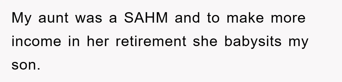 My aunt was a SAHM and to make more income in her retirement she babysits my son.