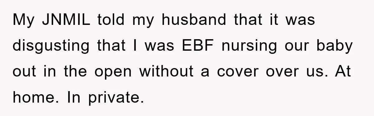 My JNMIL told my husband that it was disgusting that I was EBF nursing our baby out in the open without a cover over us. At home. In private.