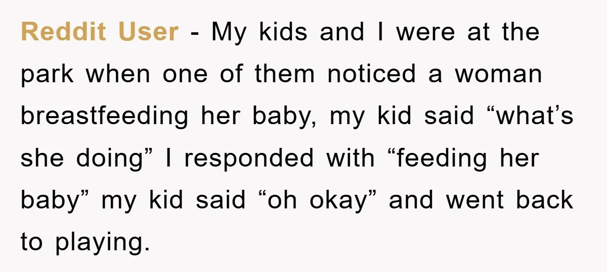 Reddit User - My kids and I were at the park when one of them noticed a woman breastfeeding her baby, my kid said “what’s she doing” I responded with...