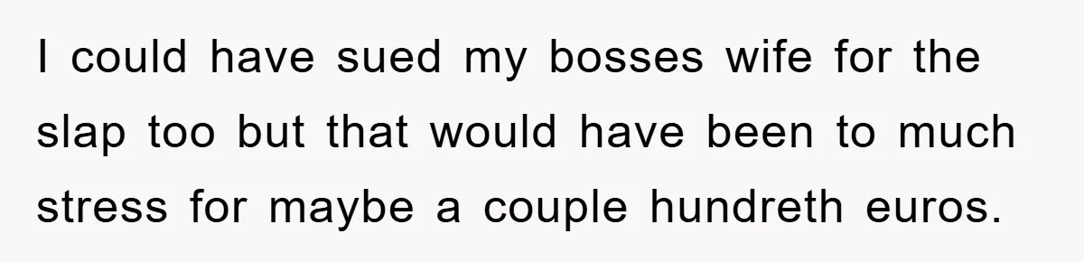 I could have sued my bosses wife for the slap too but that would have been to much stress for maybe a couple hundreth euros.