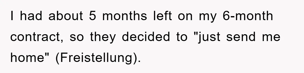 I had about 5 months left on my 6-month contract, so they decided to "just send me home" (Freistellung).