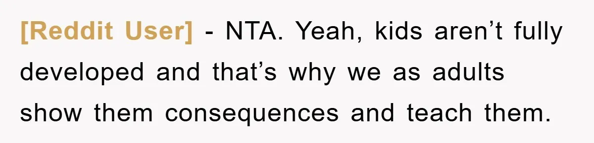 [Reddit User] - NTA. Yeah, kids aren’t fully developed and that’s why we as adults show them consequences and teach them.