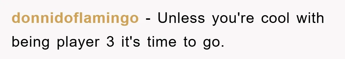 donnidoflamingo - Unless you're cool with being player 3 it's time to go.