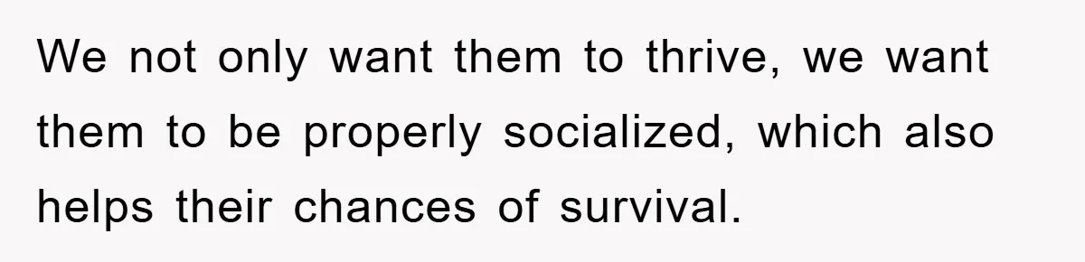 Family Threatens to Ban Mom From Future Holidays Over a Special Needs Tent We not only want them to thrive, we want them to be properly socialized, which also helps their chances of survival.