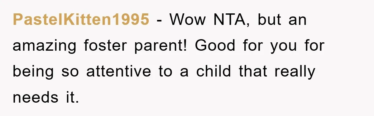 Family Threatens to Ban Mom From Future Holidays Over a Special Needs Tent PastelKitten1995 - Wow NTA, but an amazing foster parent! Good for you for being so attentive to a child that really needs it.