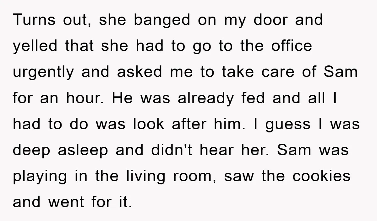 Turns out, she banged on my door and yelled that she had to go to the office urgently and asked me to take care of Sam for an hour. He...