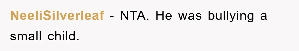 NeeliSilverleaf − NTA. He was bullying a small child.