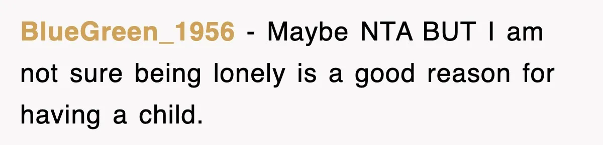Ex-Husband Furious After Discovering His Child-Free Ex Now Gets Pregnant BlueGreen_1956 − Maybe NTA BUT I am not sure being lonely is a good reason for having a child.