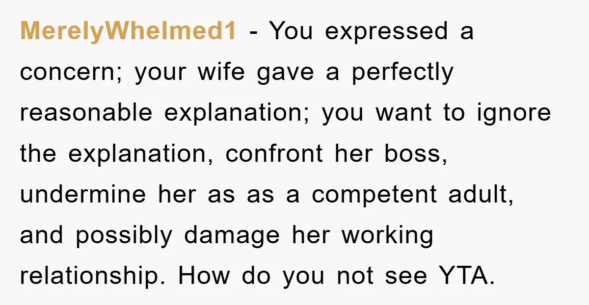 MerelyWhelmed1 − You expressed a concern; your wife gave a perfectly reasonable explanation; you want to ignore the explanation, confront her boss, undermine her as as a competent adult, and...