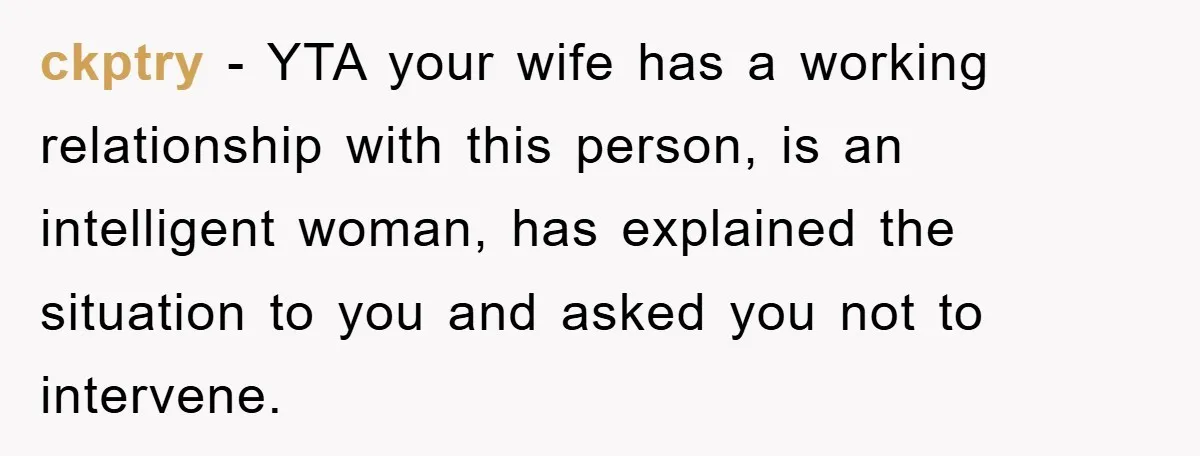 ckptry − YTA your wife has a working relationship with this person, is an intelligent woman, has explained the situation to you and asked you not to intervene.