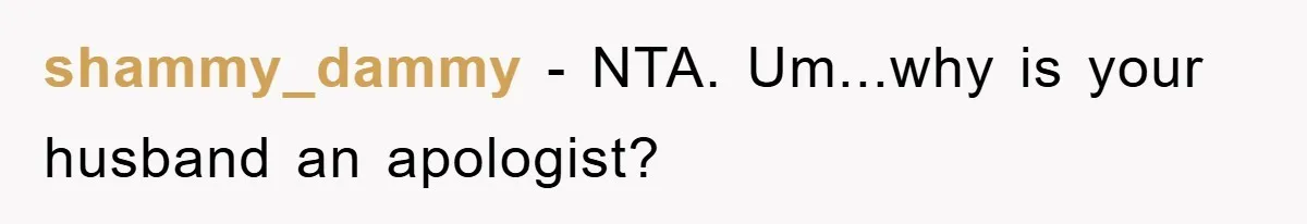 shammy_dammy − NTA. Um...why is your husband an apologist?
