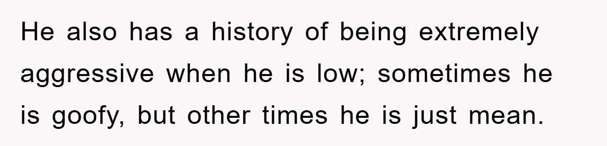 He also has a history of being extremely aggressive when he is low; sometimes he is goofy, but other times he is just mean.