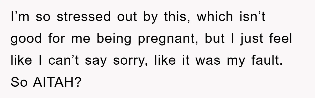 I’m so stressed out by this, which isn’t good for me being pregnant, but I just feel like I can’t say sorry, like it was my fault. So AITAH?