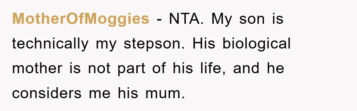 MotherOfMoggies − NTA. My son is technically my stepson. His biological mother is not part of his life, and he considers me his mum.