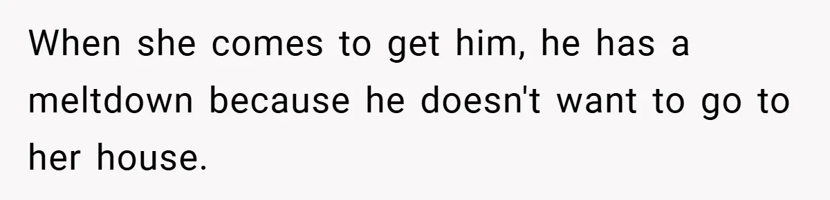 When she comes to get him, he has a meltdown because he doesn't want to go to her house.