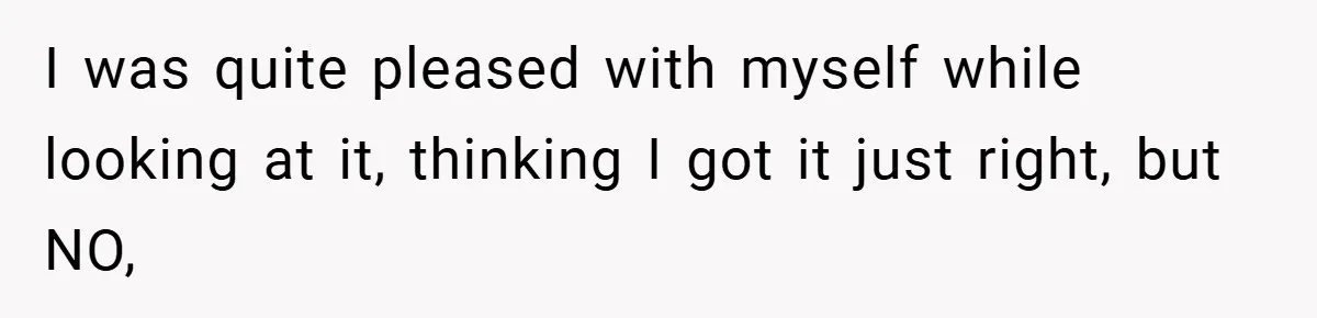 I was quite pleased with myself while looking at it, thinking I got it just right, but NO,