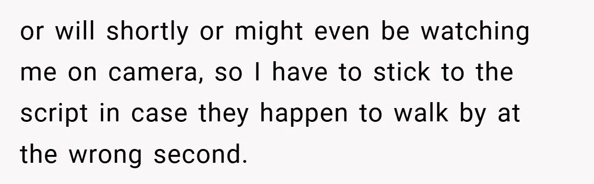 or will shortly or might even be watching me on camera, so I have to stick to the script in case they happen to walk by at the wrong second.