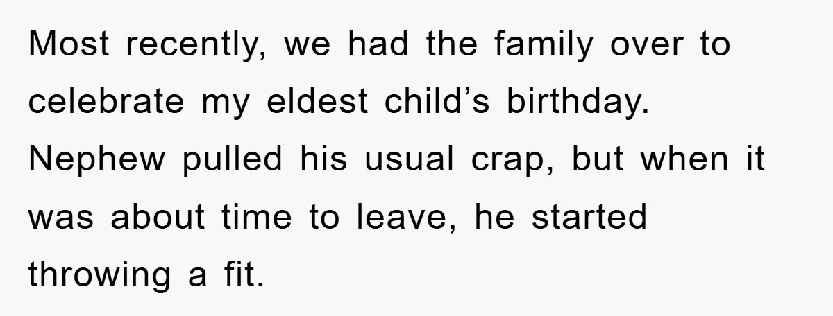 Most recently, we had the family over to celebrate my eldest child’s birthday. Nephew pulled his usual crap, but when it was about time to leave, he started throwing a...