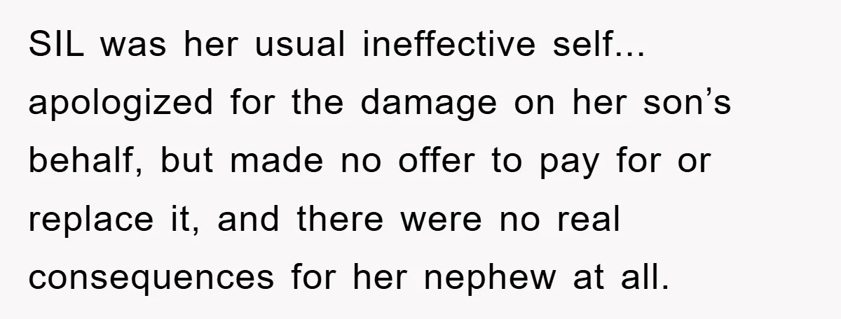 SIL was her usual ineffective self... apologized for the damage on her son’s behalf, but made no offer to pay for or replace it, and there were no real consequences...