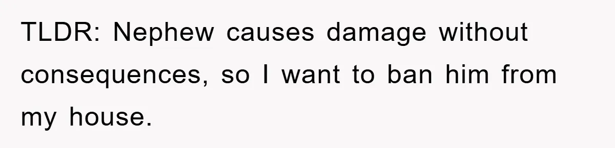 TLDR: Nephew causes damage without consequences, so I want to ban him from my house.