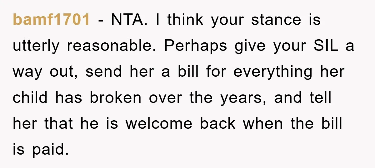 bamf1701 − NTA. I think your stance is utterly reasonable. Perhaps give your SIL a way out, send her a bill for everything her child has broken over the years,...